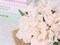 Artificial Flower and Glass vase, Artificial Rust Ball Glass Bottle Set, Suitable for Living Room, Dining Table, Office, Wedding, Hotel Banquet and Family Decoration (Ivory)